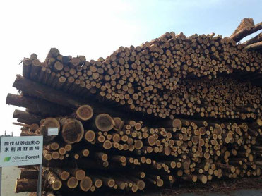 イベントのご案内『第19回九州森林フォーラム』～今、木質バイオマスのあり方を考える～