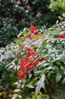 年末年始のお知らせとお礼
