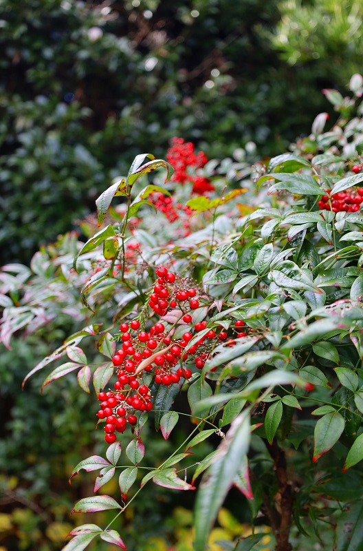 年末年始のお知らせとお礼